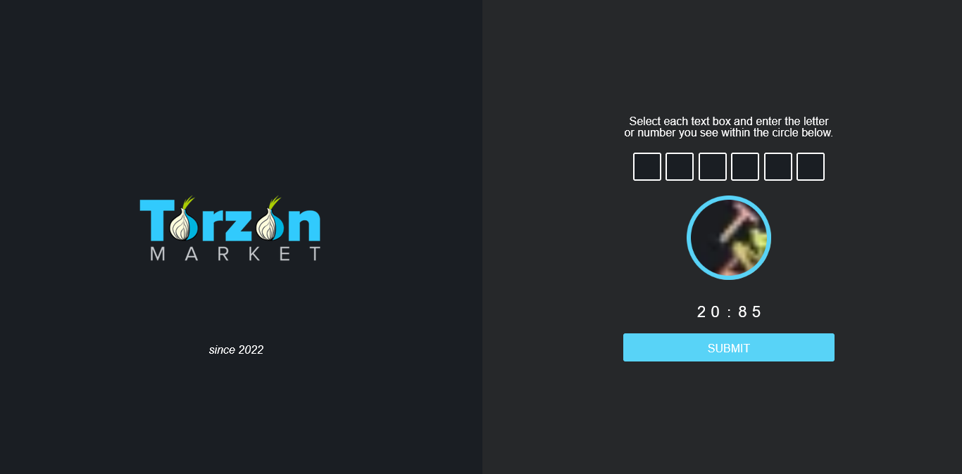 Torzon Market captcha verification screen — since 2022